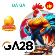 fcb88 Game 08